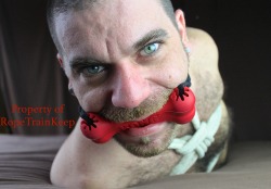 ropetrainkeep:  This guy’s eyes are so striking, and he’s