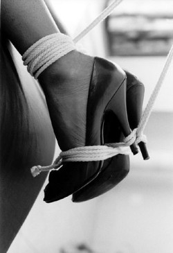 Shibari Dreams with Knotty Minds