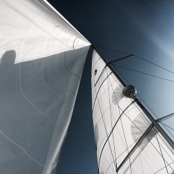 teamnikonos:  I’ve had my head in the sails lately..