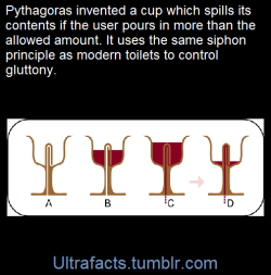 ultrafacts:    A Pythagorean cup (also known as a Pythagoras