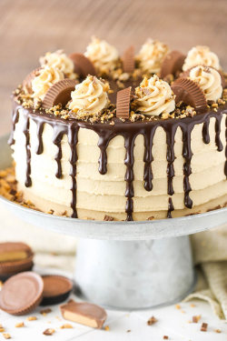 foodffs:  PEANUT BUTTER CHOCOLATE LAYER CAKE Really nice recipes.