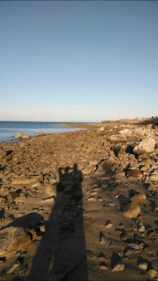 West Island Reserve. Fairhaven, Ma “And in that photo,