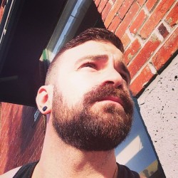 hombreton:  http://instagram.com/pat_the_beard 