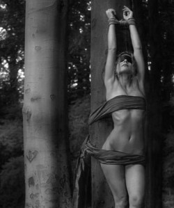 bdsmthoughts:  Tree hugger. 