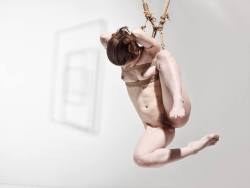 gorgone-kinbaku:  « -Angel, ha! She’s a female! And all females