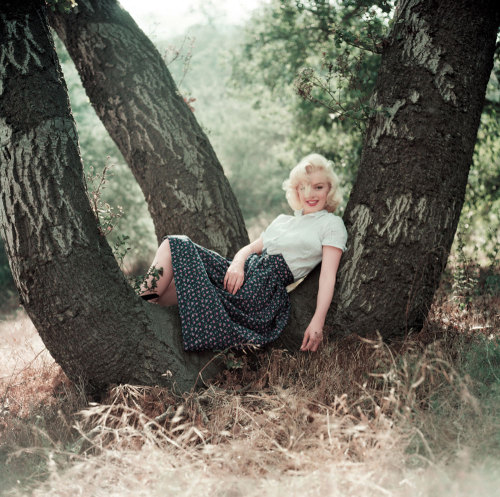 thecinamonroe:  Marilyn Monroe photographed in the ’Tree’