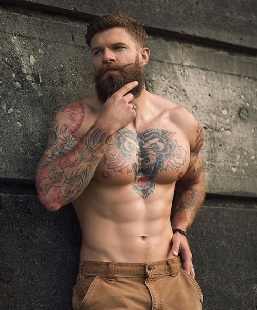 lugabsx:Tiger Man 😻😻