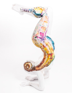 cubebreaker:  German artist Gesine Marwedel’s exotic animal