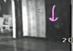 paranormalphenomenas:  A photo of what appears to be a baby ghost