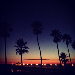 at Manhattan Beach Pier