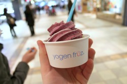 imaqinable:  blueberry frozen yogurt is my favourite  