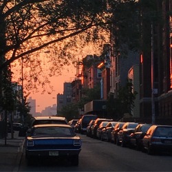 bluedoveyellowsun:  Sunsets in Brooklyn summer hit so suddenly