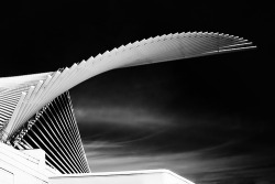 dromik:  Milwaukee Art Museum by Santiago Calatrava. 