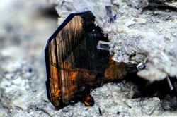 underthescopemin:  Brookite A tabular crystal of brookite Gianfranco