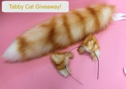 baby-perv:  kittensplaypenshop:  Win a Ginger Tabby Cat Set from