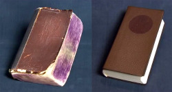 scaliefox:  xtremecaffeine:  itscolossal: Watch: Book Conservationist