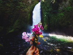 theoregonscout:  No shortage of waterfalls and wildflowers in