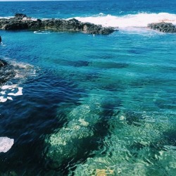 Oceano de Flor