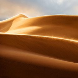 cinemagorgeous:  From Dunescape by photographer Shawn van Eeden.