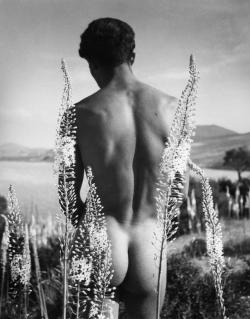 mqobm:    Herbert List: Tunisia, Hammamet. Arab Boy with Eremurus.