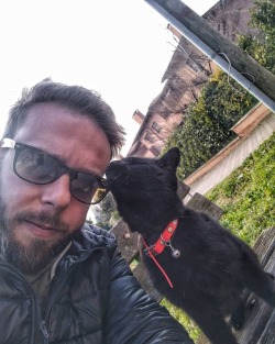 Cat Whisperer ❤️ #cat #kitten #love #blackcat