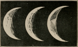 nemfrog:Venus as an evening star on three days in March, 1881,