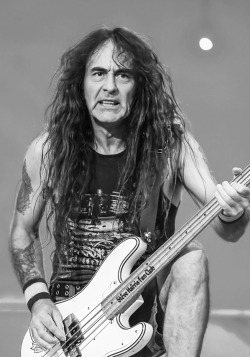 steveharrisfan:  Steve Harris