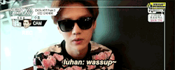 zhexun:  10/∞ luhan moments: suho asks the right questions