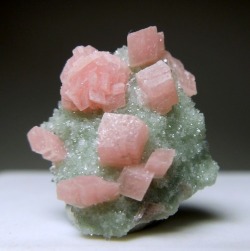 pearl-nautilus:Rhodochrosite rhombs on a matrix partially covered