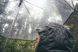 missbluespruce:  Staying Dry in the PNW  Ooo Stormking ranger