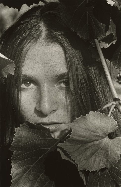 fragrantblossoms:  Ralph Gibson, Garden. 