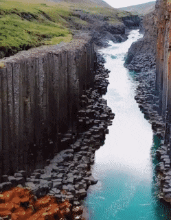 blondebrainpower:The basalt columns of Iceland