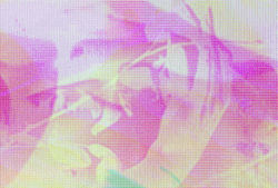 They called her the wild glitched rose ! DMNC RMX http://dombarra.tumblr.com