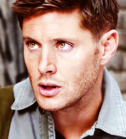 quackles:  Excuse your face sir: Jensen Ackles as Dean Winchester