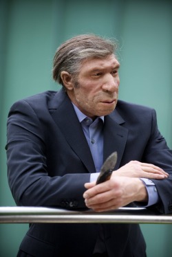 danbensen:  thehumanape:  Lifelike reconstruction of a Neanderthal