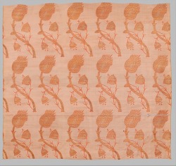 cinoh:  Textile Fragment with a Repeating Pattern of Interlocked