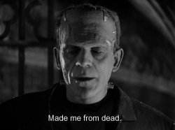 heirloombabydoll:The Bride of Frankenstein (1935), dir. James