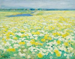 stopthatplz:  Paulus Philippus Rink - SummerA field of flowers