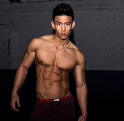 orientalust:  Nate Suen fitness model 