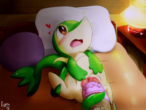 pokephiliaporn:  Youâ€™re welcome post some female Snivy =) P.S. thanks for your feedback megahuskyninja ;D