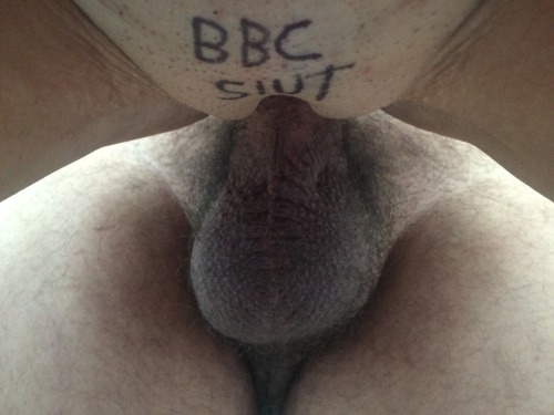 Thanks for the submission: classic!“BBC Wh0re. Party Pig.