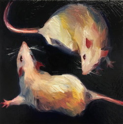 misterstevens: 2 rats (oil on panel 8″x8″)