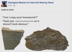 actual-secret-blog:  nettlewildfairy:I follow a geology memes