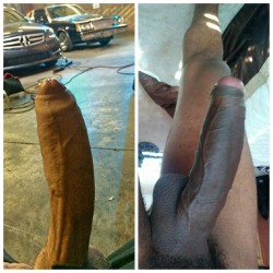 thick cocks