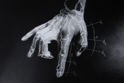 myampgoesto11:  Alan John Herbert: The Body  hand drawn photogram