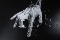 myampgoesto11: Alan John Herbert: The Body  hand drawn photogram