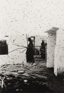 howtoseewithoutacamera:  by Graciela Iturbide Cementerio (Cemetery),