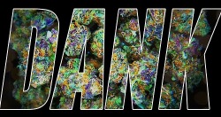 Sex and sammiches.