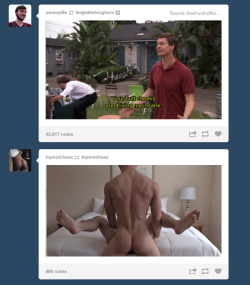 brendanbadkarma-blog:TUMBLR DID A THING