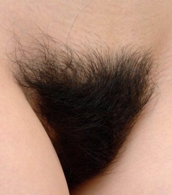 lovemywomenhairy:  canazei:  Perfect full, dark and thick bush.